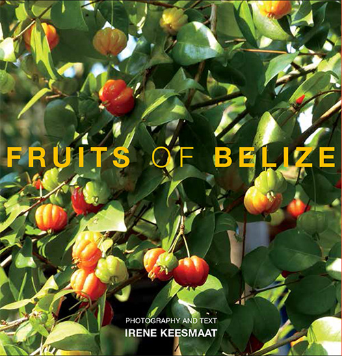 Fruits of Belize